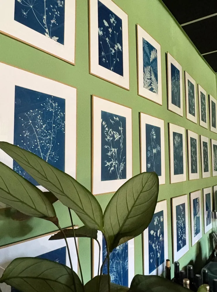 Les cyanotypes par Léa MESSINE