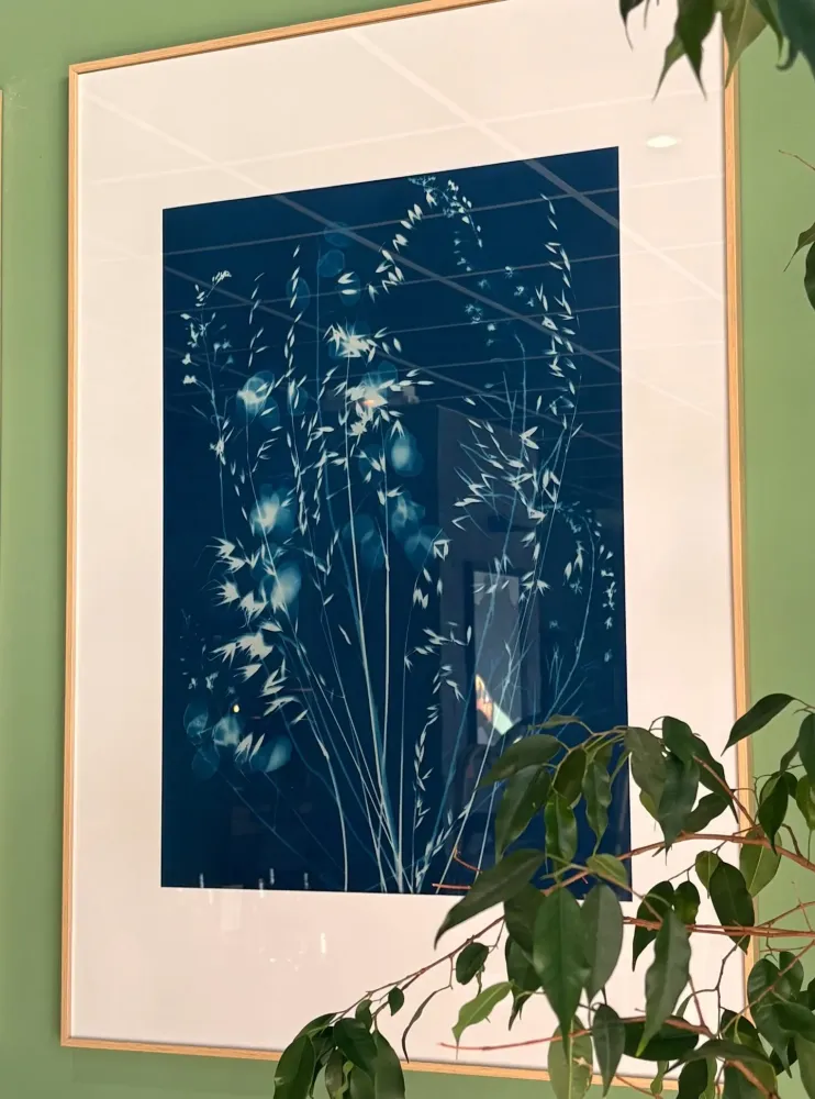 Cyanotype - Lé